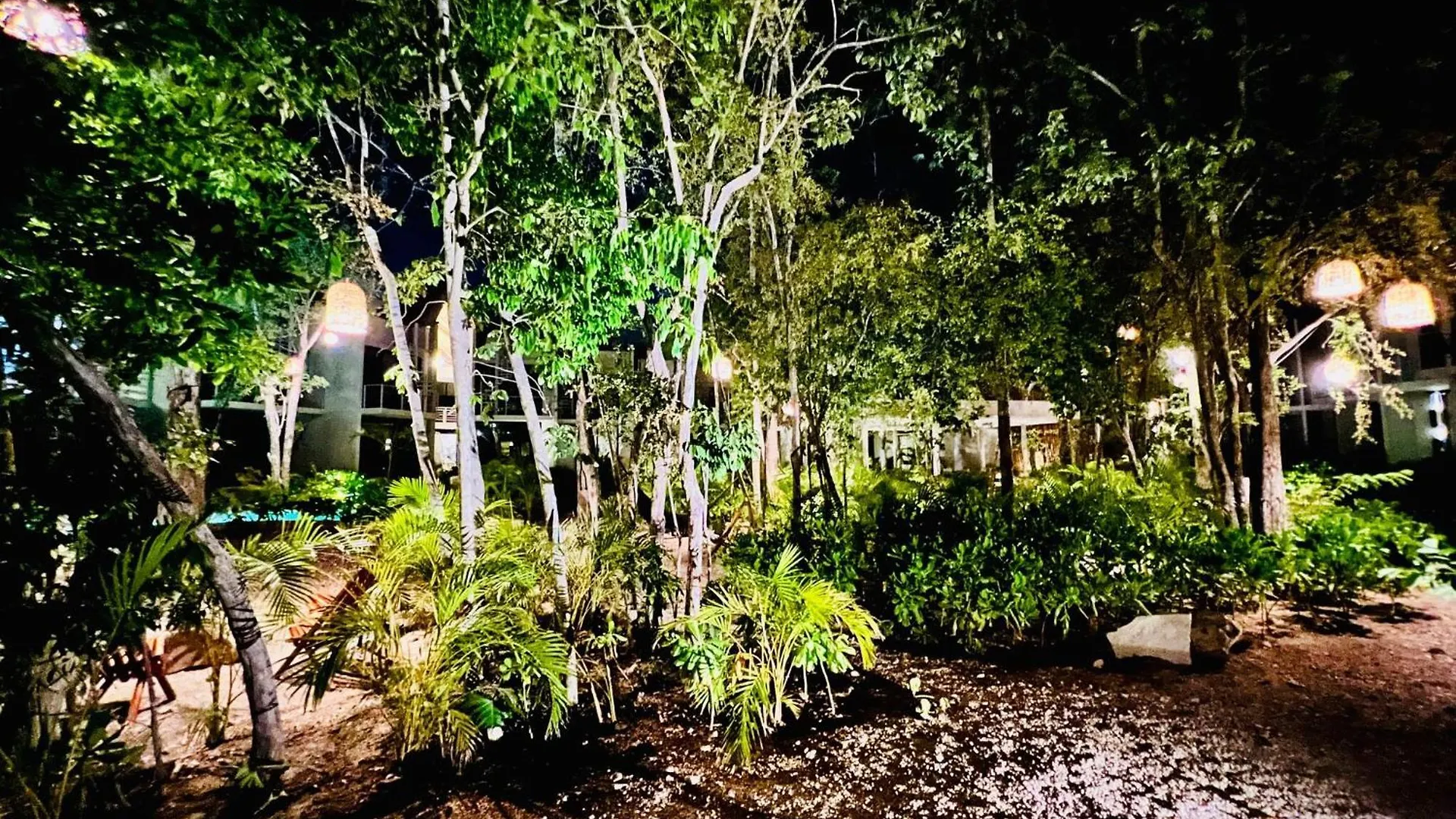 403 Seremonia Selva Private Pool New Apartment King Bed Wifi Tulum